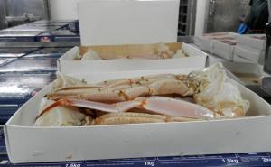 Crab Sections